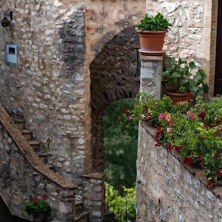Il Tripode - Le Dimore Del Bordone Vallo di Nera Luaran gambar